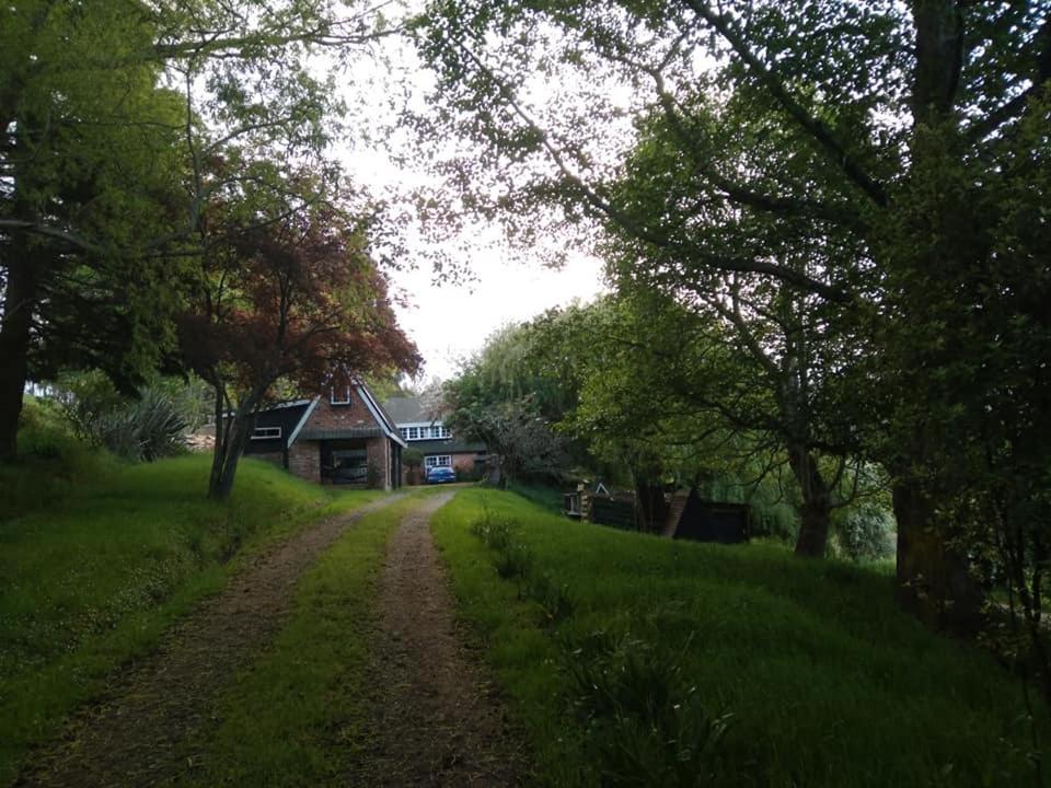 Arden Country House Bnb - Entire House To Yourself -Peace In The Country Dunedin Exteriör bild