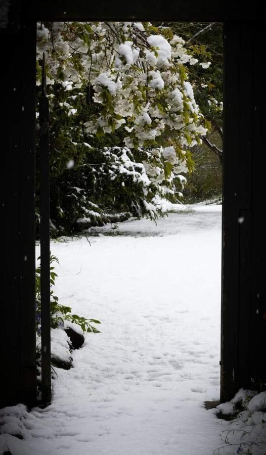 Arden Country House Bnb - Entire House To Yourself -Peace In The Country Dunedin Exteriör bild